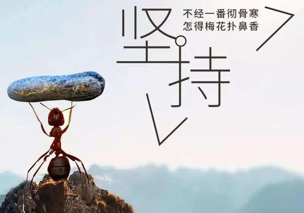 包含艰难晋级之路坎坷不平，成功夺冠拼搏的词条